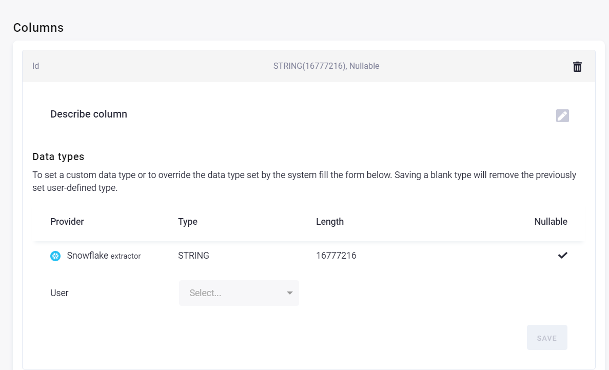 Screenshot - View Column Data Type